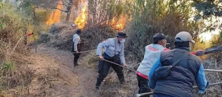 Aksi Nyata Polisi Padamkan Karhutla di Tepi Jurang Semeru