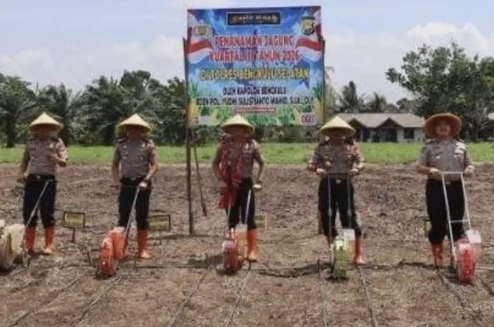 Teladan Sang Kapolda, Irjen Pol. Yudhi Sulistianto Pimpin Penguatan Pangan Bengkulu