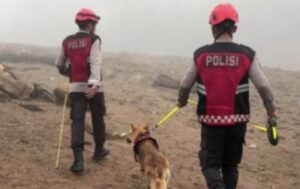 Kerja Bagus Anjing Pelacak K9 Polda Sumbar di Balik Penemuan Korban Banjir Bandang Solok
