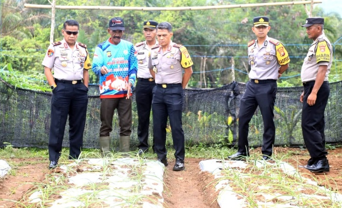 Dukung Kesejahteraan Petani, Kapolda Bengkulu Tanam Pohon dan Tinjau Kebun Bawang