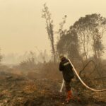 Cegah Terbakar Kembali, Satgas Karhutla Satbrimob Polda Kalteng Terus Basahi Lahan di Tanjung Taruna