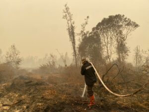 Cegah Terbakar Kembali, Satgas Karhutla Satbrimob Polda Kalteng Terus Basahi Lahan di Tanjung Taruna