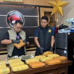 Kejelian Satresnarkoba Polrestabes Medan Bongkar Gudang Ganja Berkedok Kandang Ayam di Deliserdang