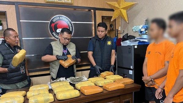 Kejelian Satresnarkoba Polrestabes Medan Bongkar Gudang Ganja Berkedok Kandang Ayam di Deliserdang