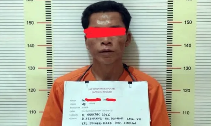 Polisi Ringkus Nelayan Pengedar Ganja di Sibolga Utara
